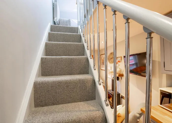 Kitten 1 * West Witton