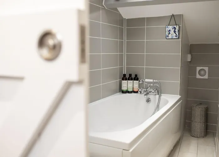 Kitten 1 West Witton