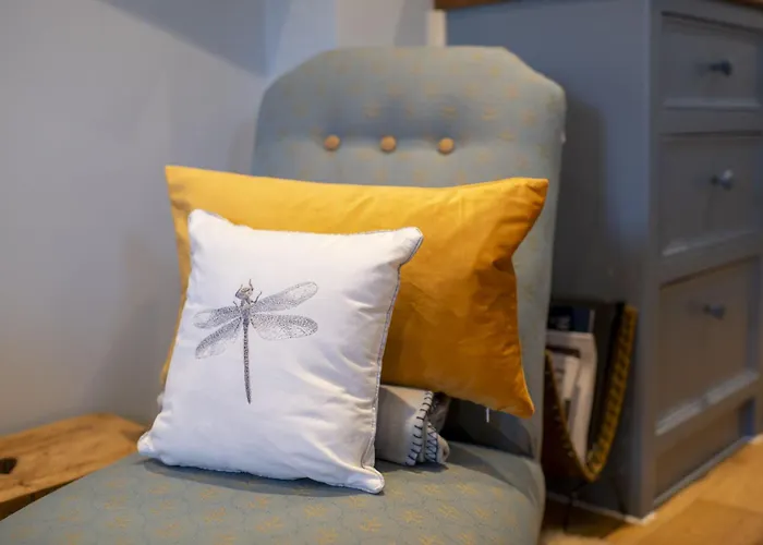 Kitten 1 West Witton