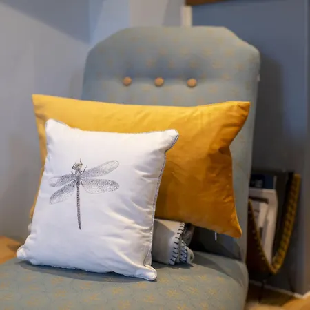 Kitten 1 West Witton