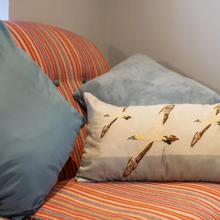 Kitten 1 * West Witton