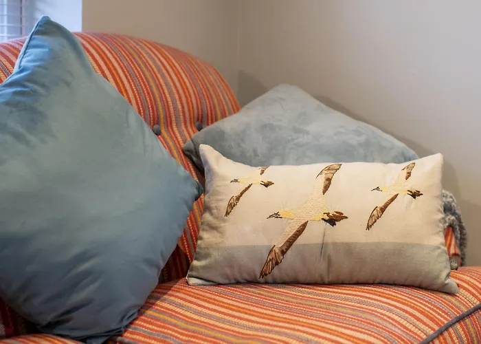 Kitten 1 * West Witton